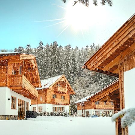 Luxury Chalets Gradenbach Near Schladming Haus im Ennstal Exterior foto